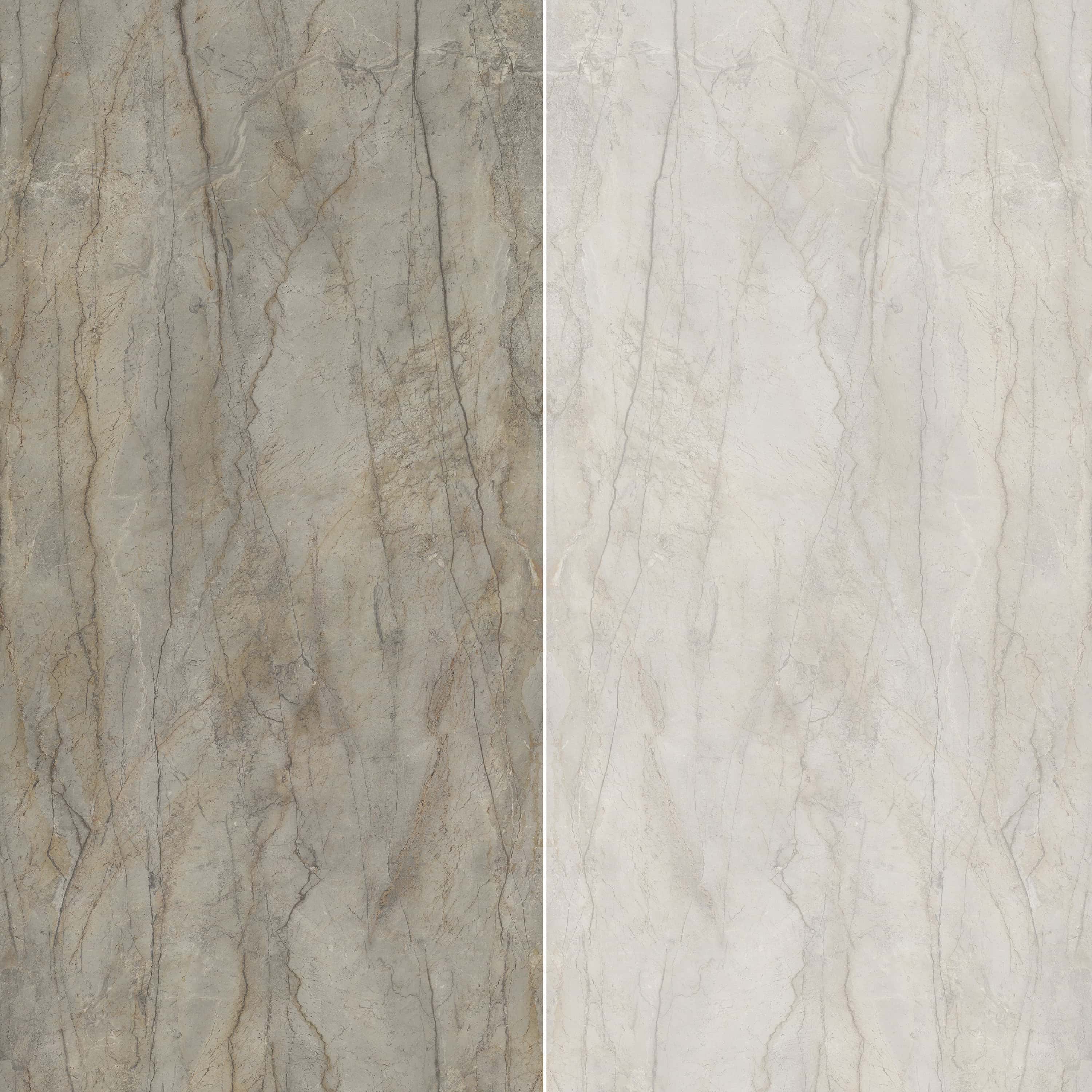 Atlas Plan | 63" x 126" | Silver Root