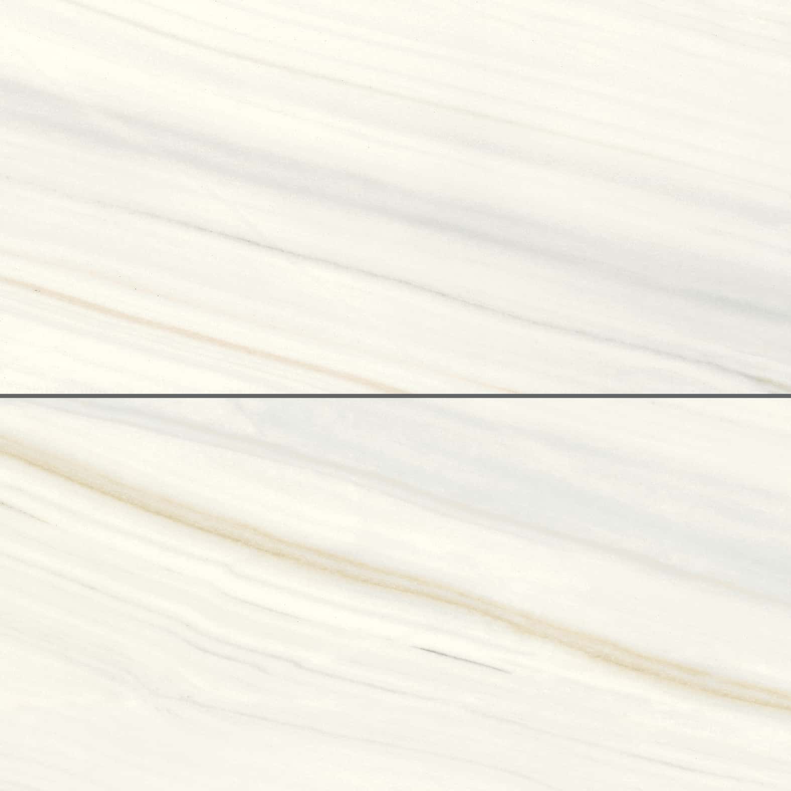 Marmi Classici | 24" x 48" | Bianco Covelano