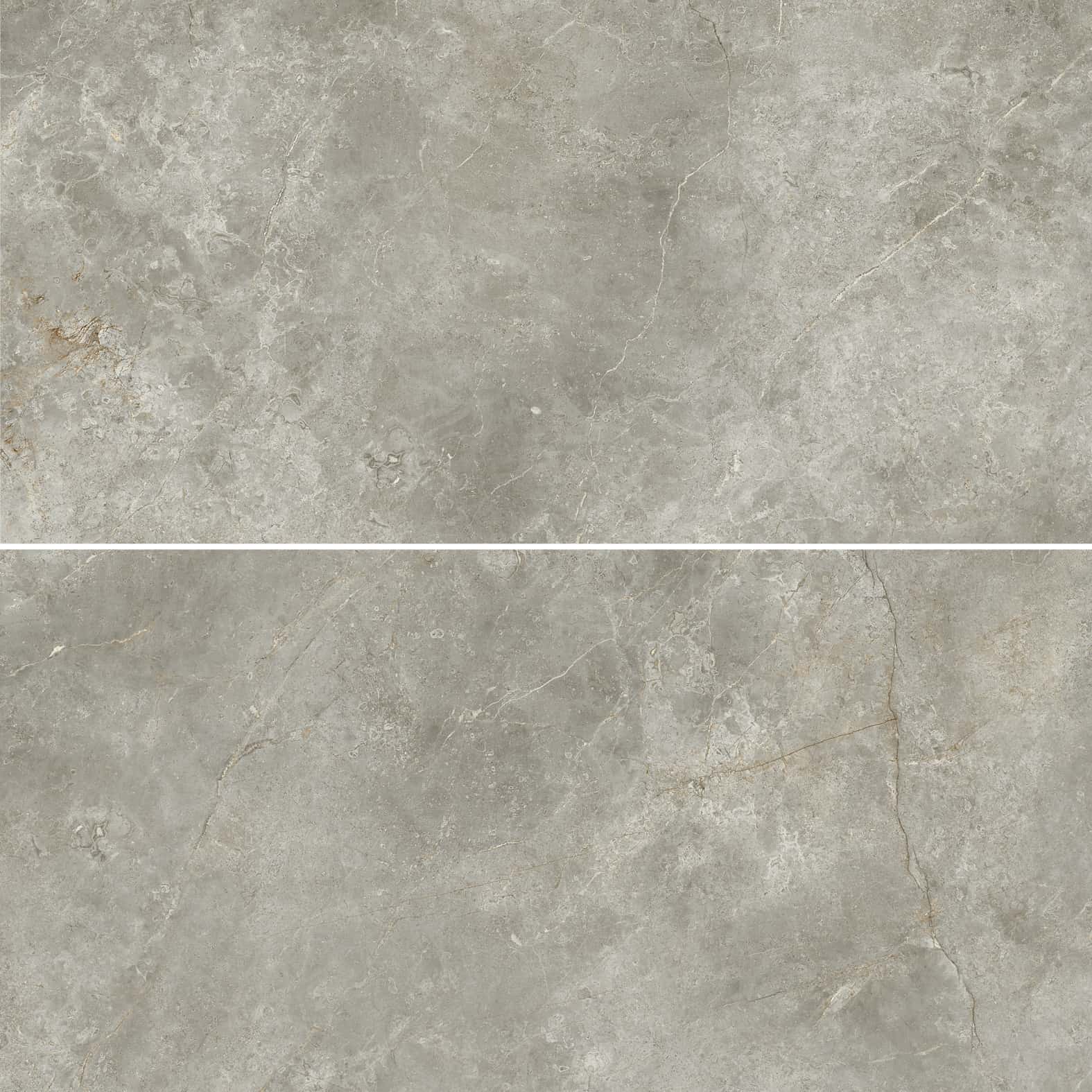 Marmi Classici | 24" x 48" | Fior Di Bosco