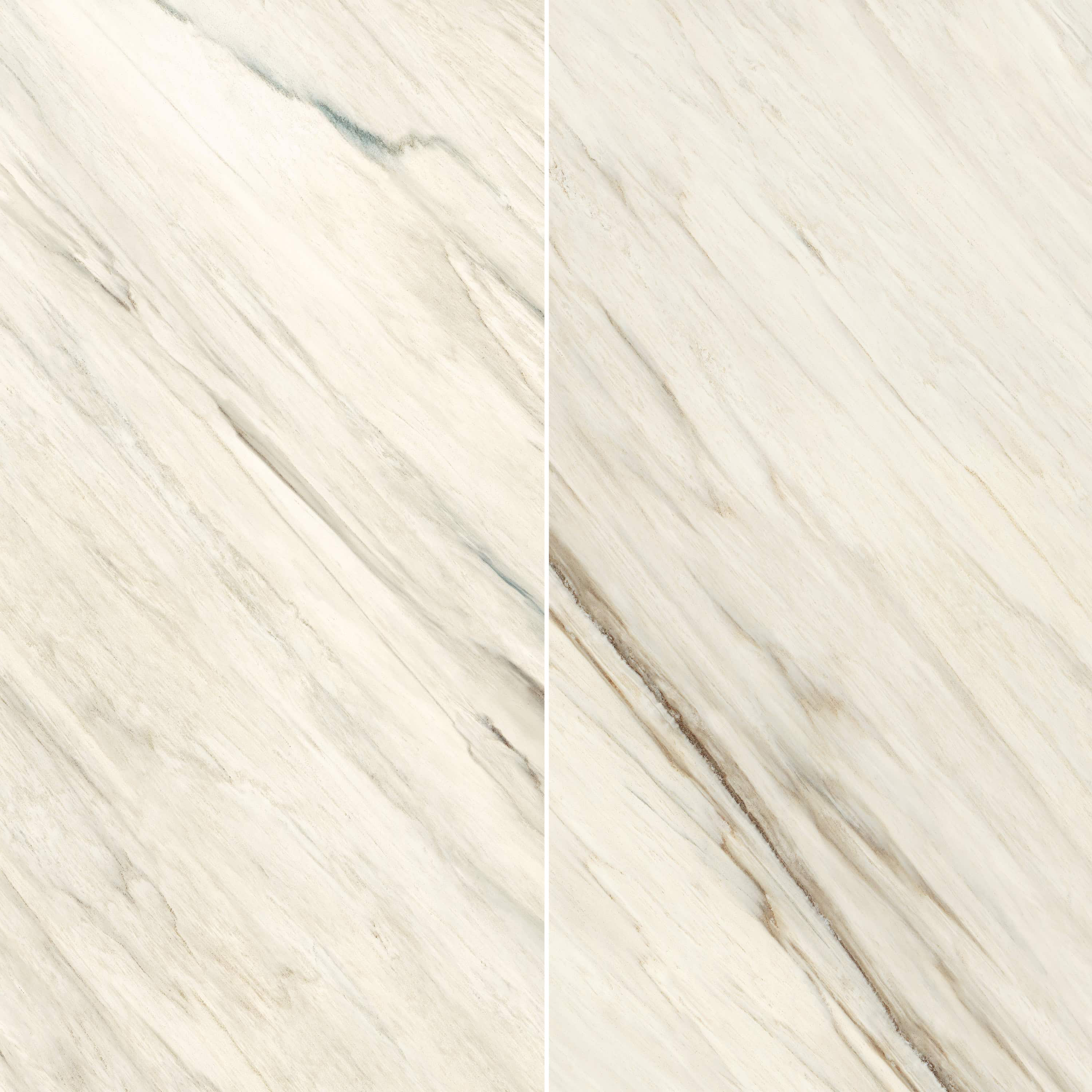 Marmi XL | 60" x 120" | Palissandro White