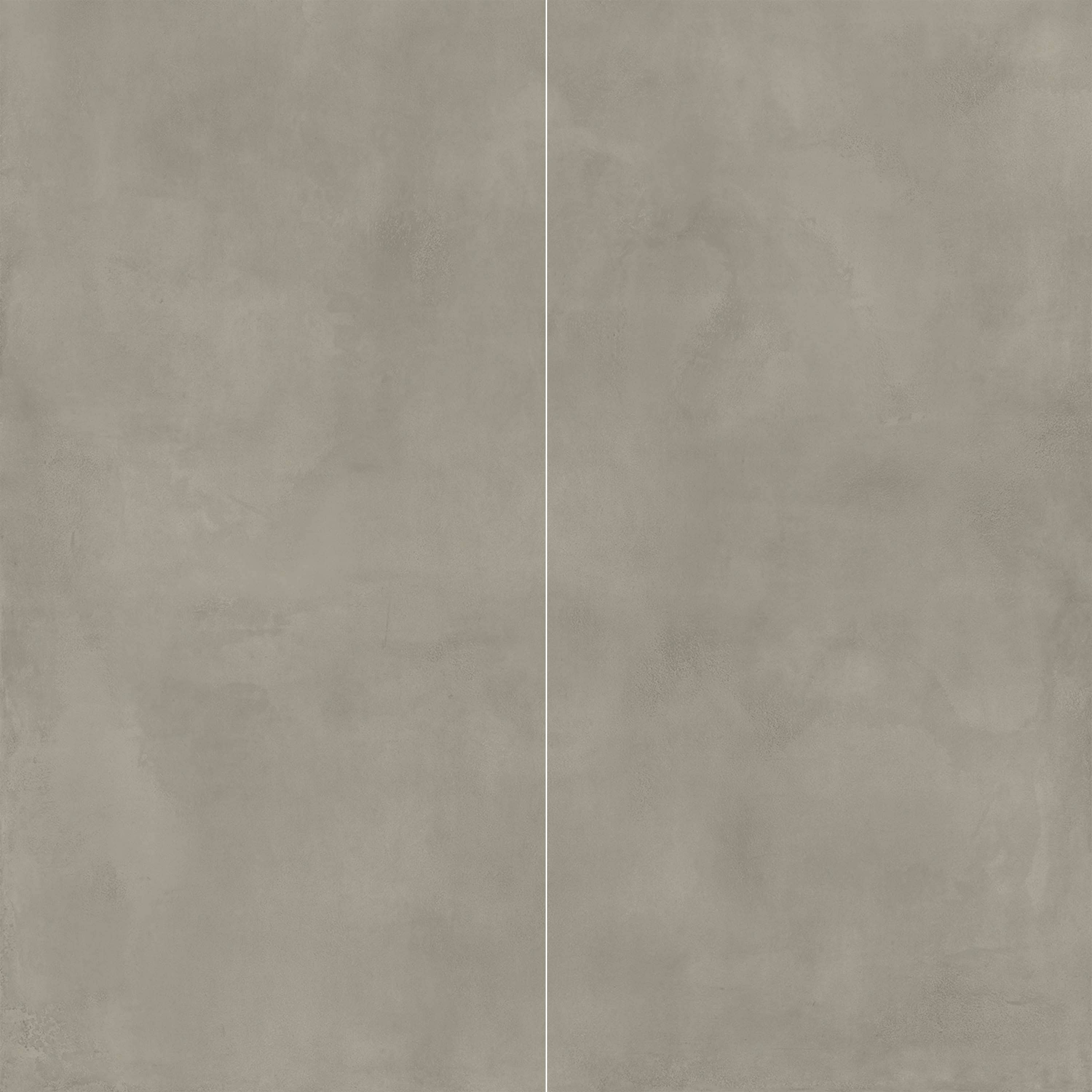 Multiforme | 24" x 48" | Lichene