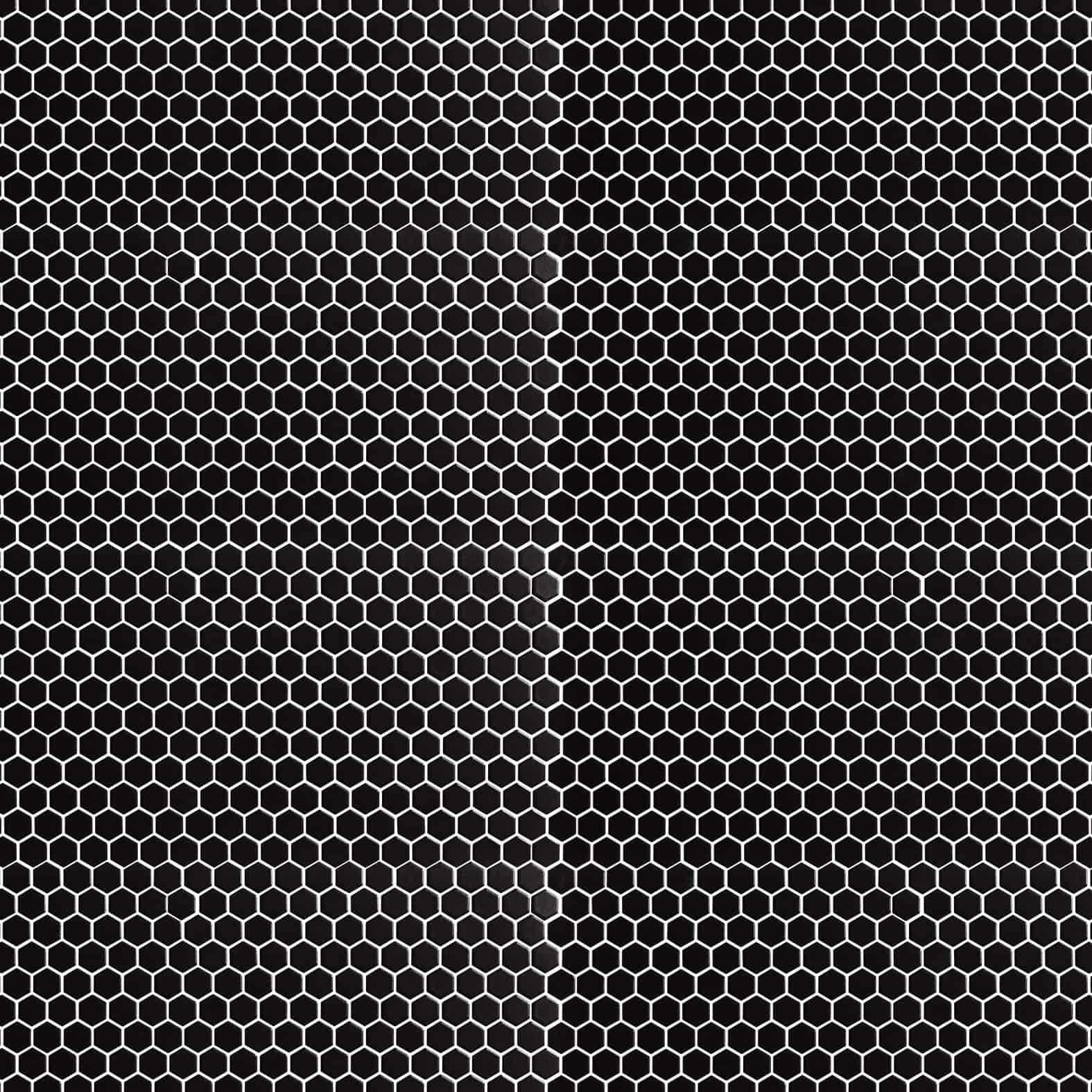 Nektar | 1" x 1" | Noir