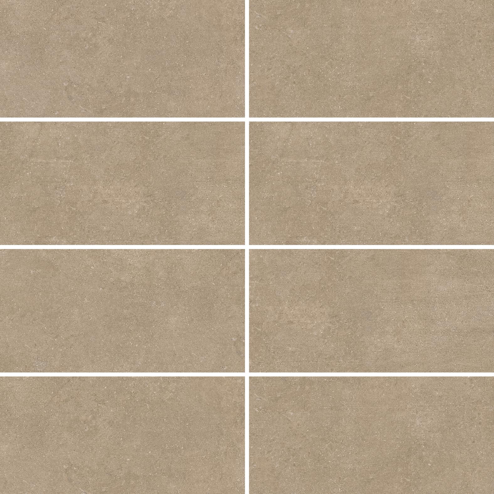 Newcon | 12" x 24" | Taupe
