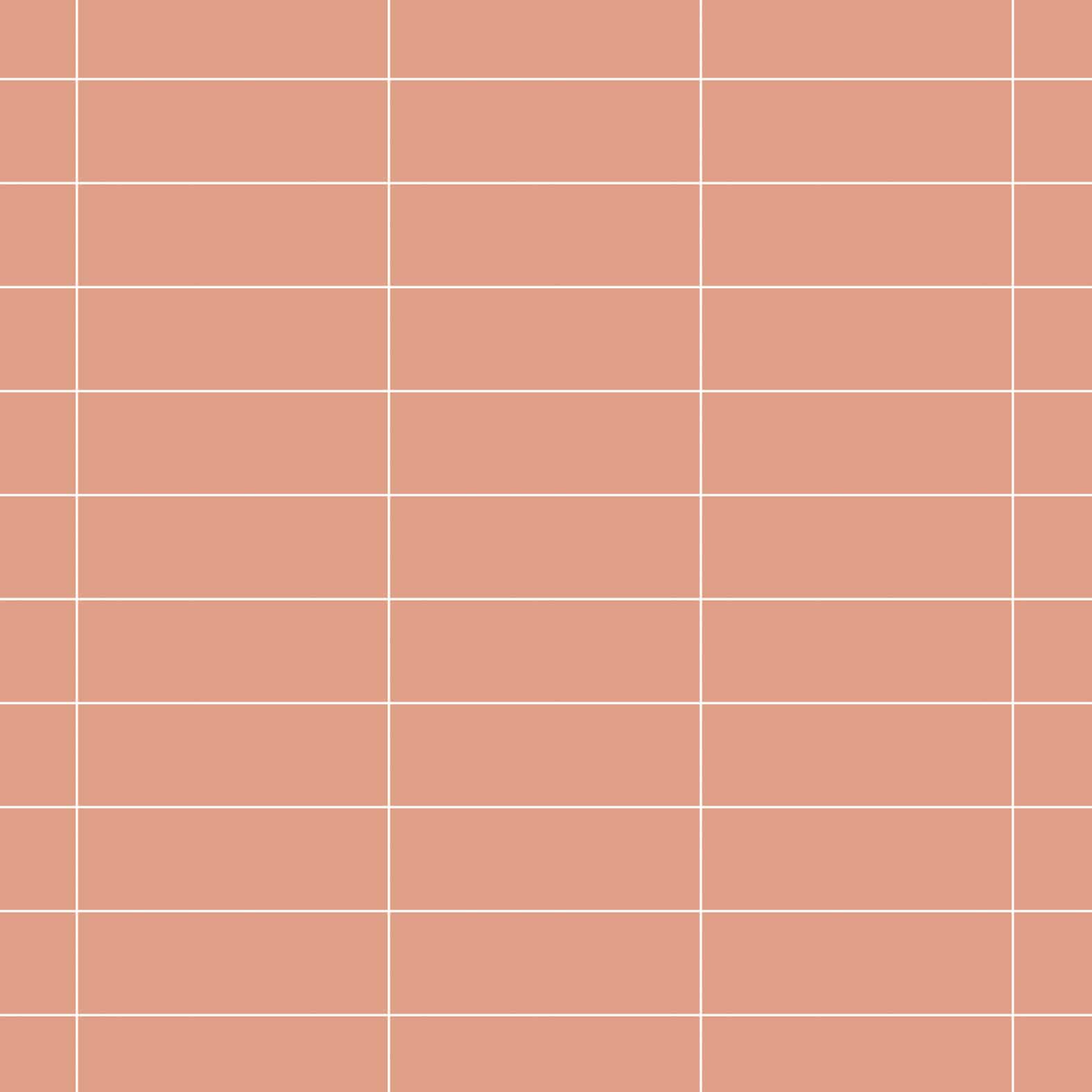 P21 | 4" x 12" | Flamingo