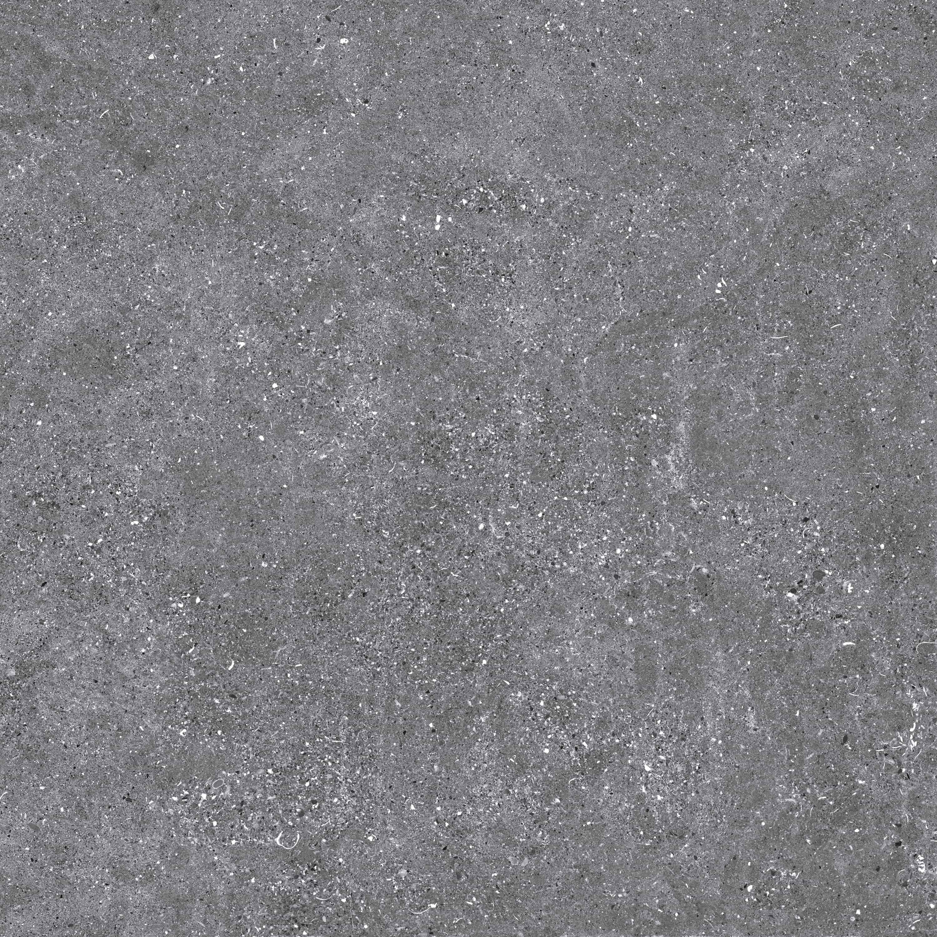 Kalksten | 24" x 48" | Hiver