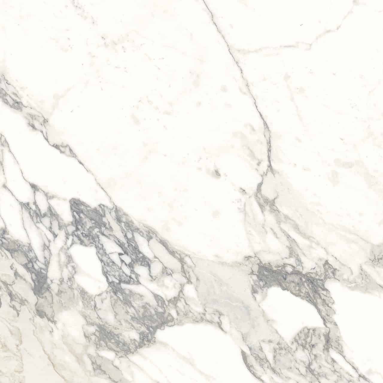Marmi Classici | 24" x 48" | Arabescato Classico