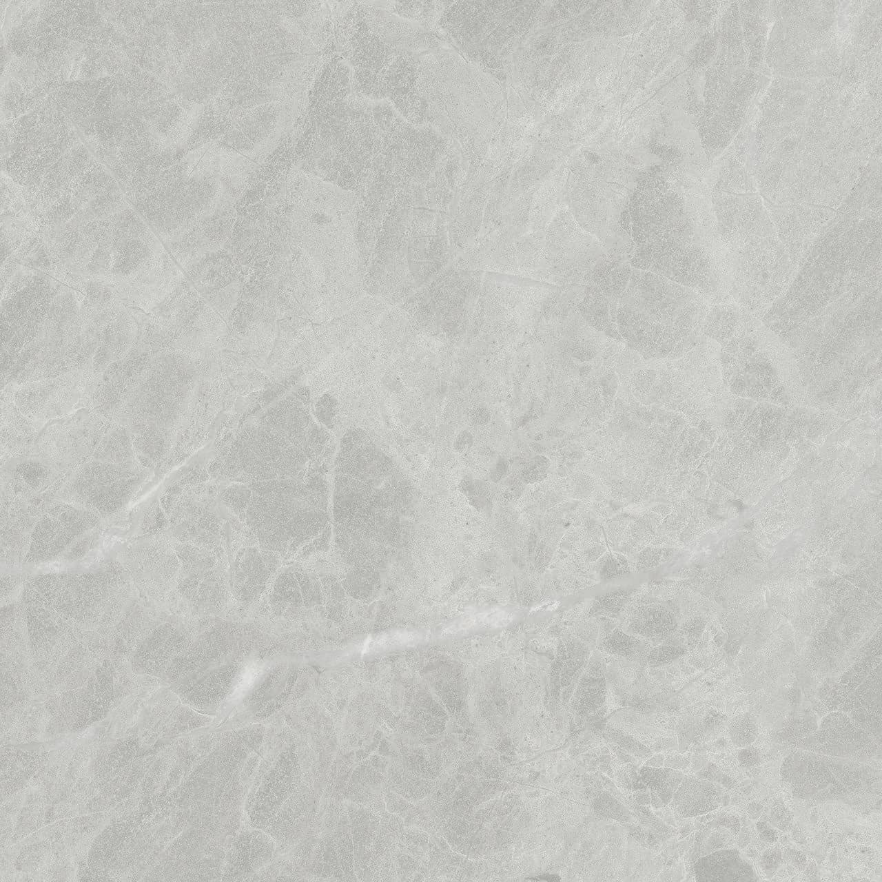 Marmi Classici | 24" x 48" | Gris De Savoie