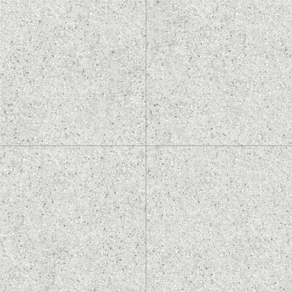 Shoreline | 24" x 24" | Bianco