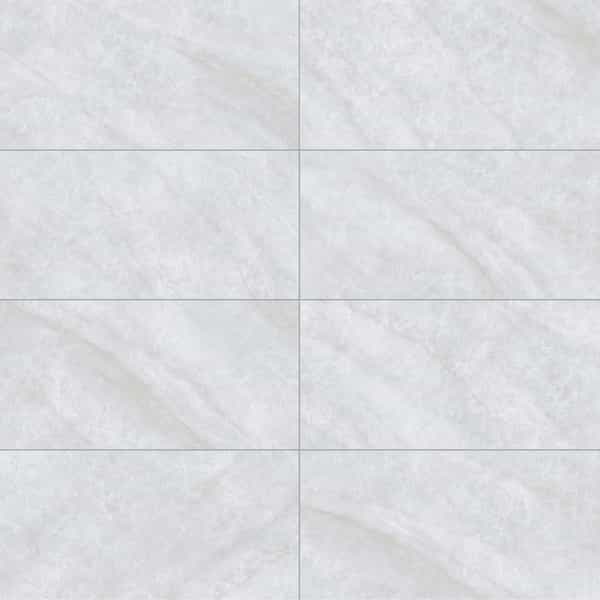 Taj Mahal | 12" x 24" | Argento