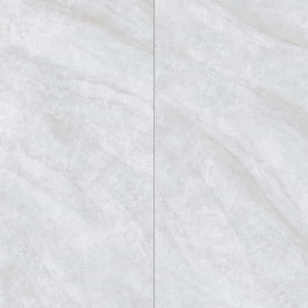 Taj Mahal | 24" x 48" | Argento