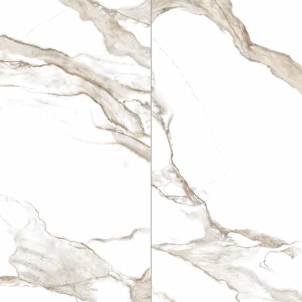 Vernazza | 24" x 48" | Calacatta Oro
