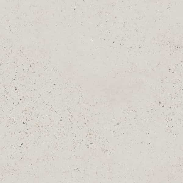 Cassio | 12" x 24" | Bianco