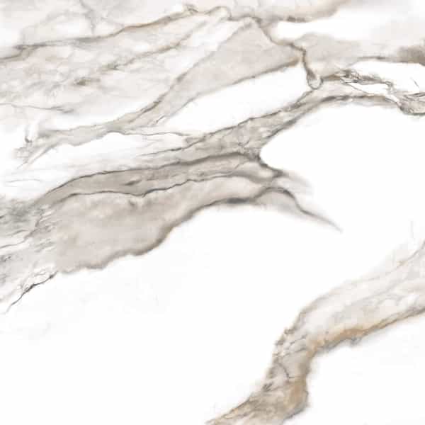 Vernazza | 12" x 24" | Calacatta Oro